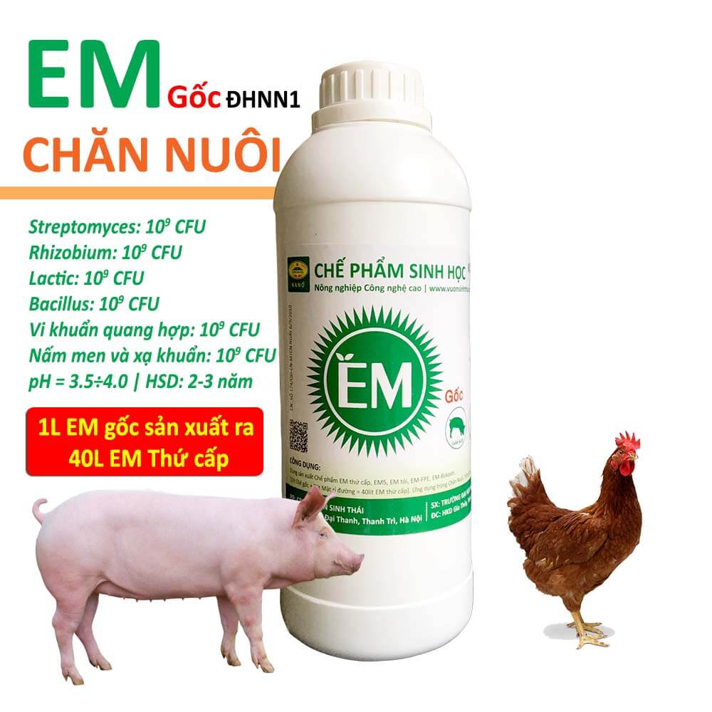 Công nghệ 11, Chế phẩm vi sinh EM