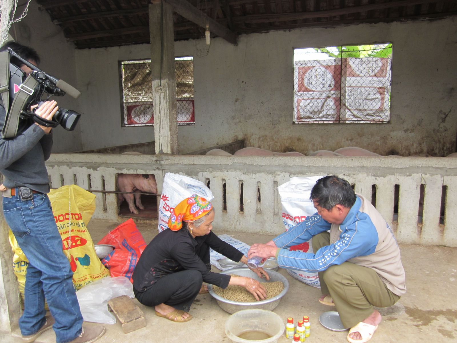 Hiệu quả sử dụng Chế phẩm sinh học Vườn Sinh Thái trong chăn nuôi gia súc, gia cầm