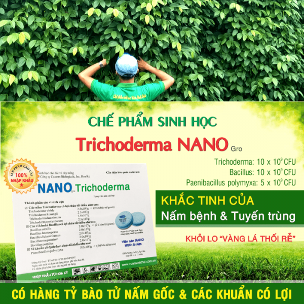 nấm đối kháng trichoderma NANO