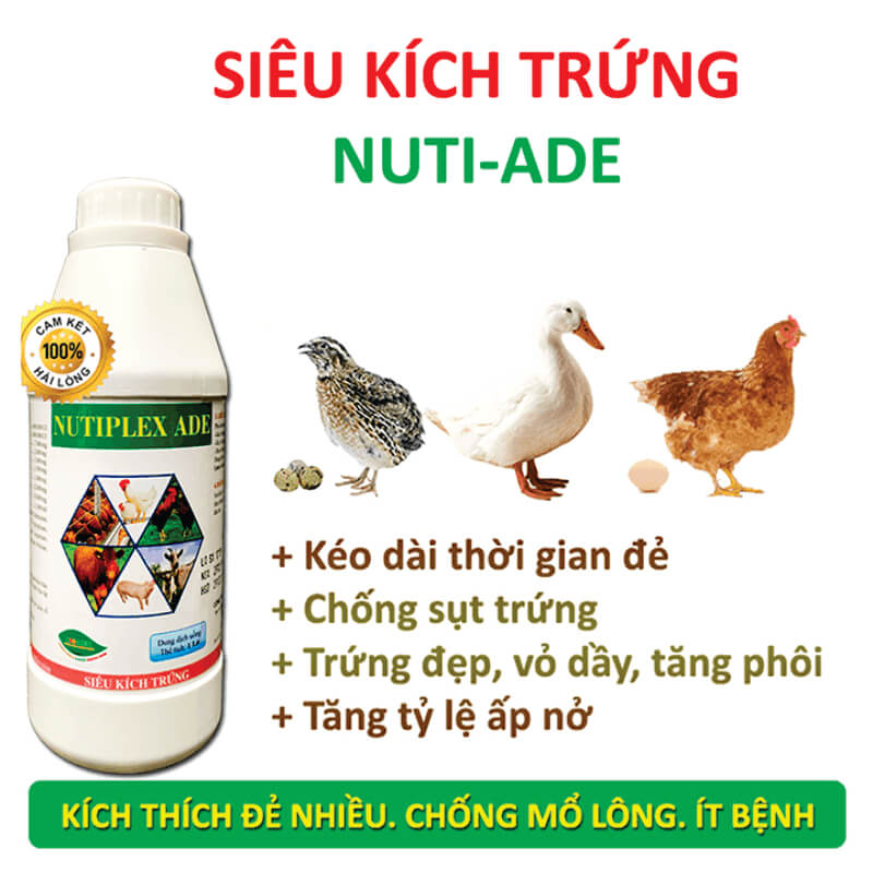 Thông Tin Về Thuốc Kích Trứng Cho Gà