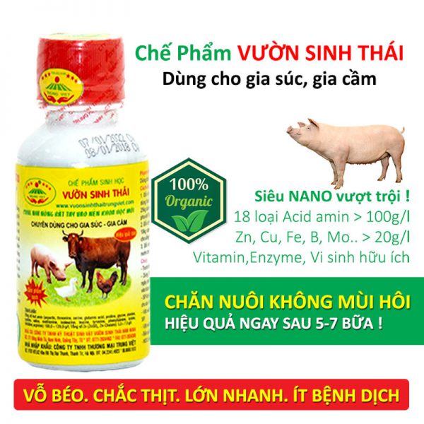 thuc an chan nuoi vuon sinh thai (1)