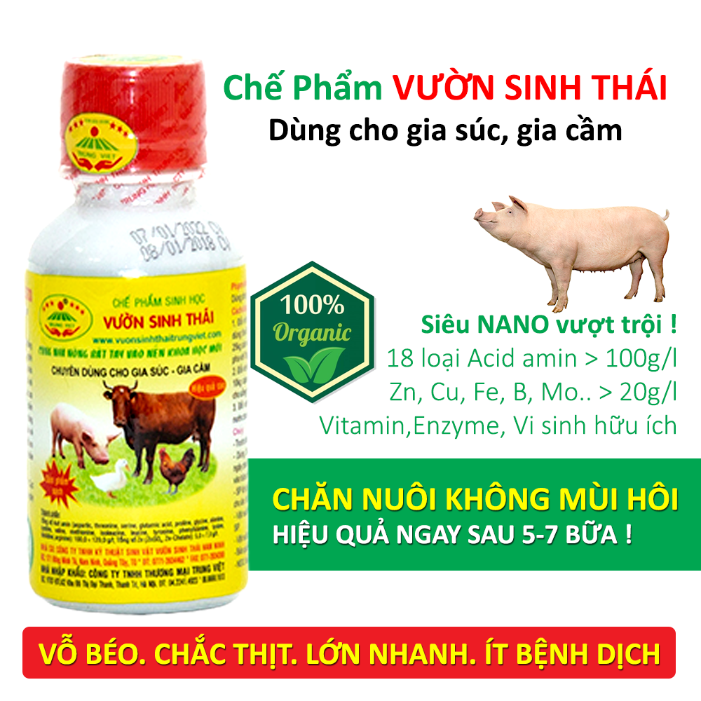 Chế Phẩm Sinh Học Vườn Sinh Thái Cho Nuôi Heo (Lợn) - Vườn Sinh Thái