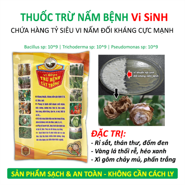 thuoc vi sinh tru nam benh