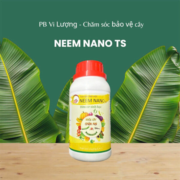 neem ts
