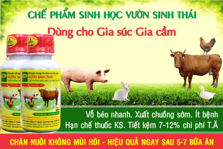 che_pham_sinh_hoc_Vuon_Sinh_Thai_dung_cho_Gia_suc_Gia_cam