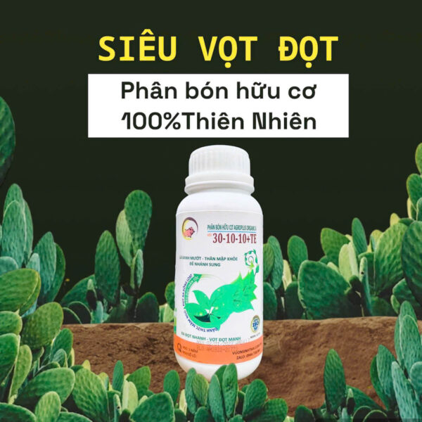 phan bon sieu vot dot